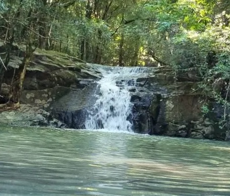 Estação Ecológica Colombo