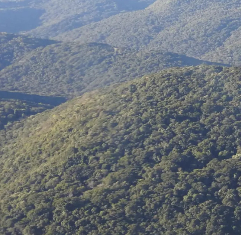 Estação Ecológica Juquirí