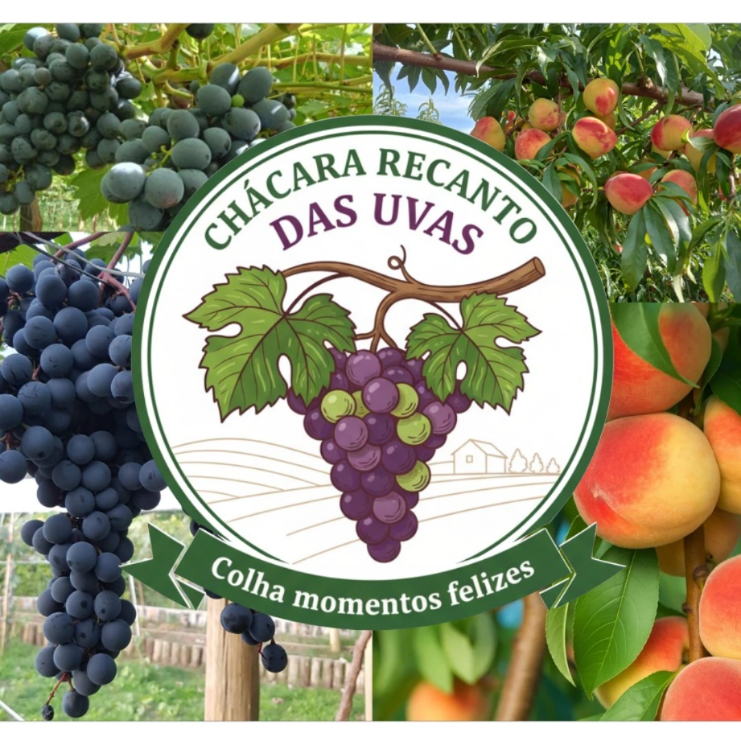 Chácara Recanto das Uvas